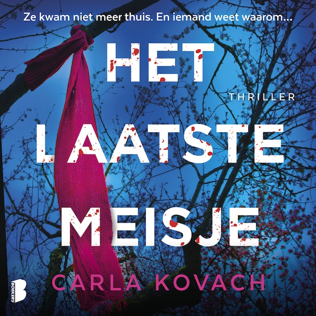 Book cover for Het laatste meisje