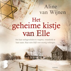 Het geheime kistje van Elle - luisterboek