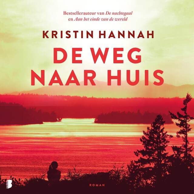 Boekomslag van De weg naar huis