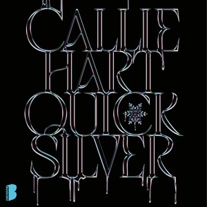 Quicksilver - luisterboek