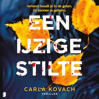 Een ijzige stilte