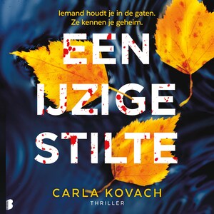 Een ijzige stilte - luisterboek