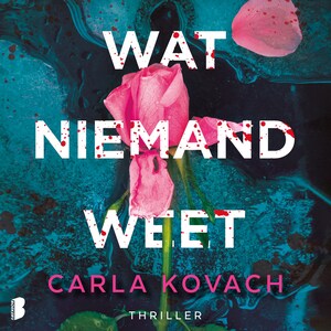 Wat niemand weet - luisterboek