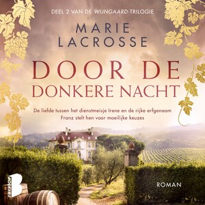 Door de donkere nacht - luisterboek