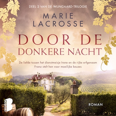 Door de donkere nacht - luisterboek