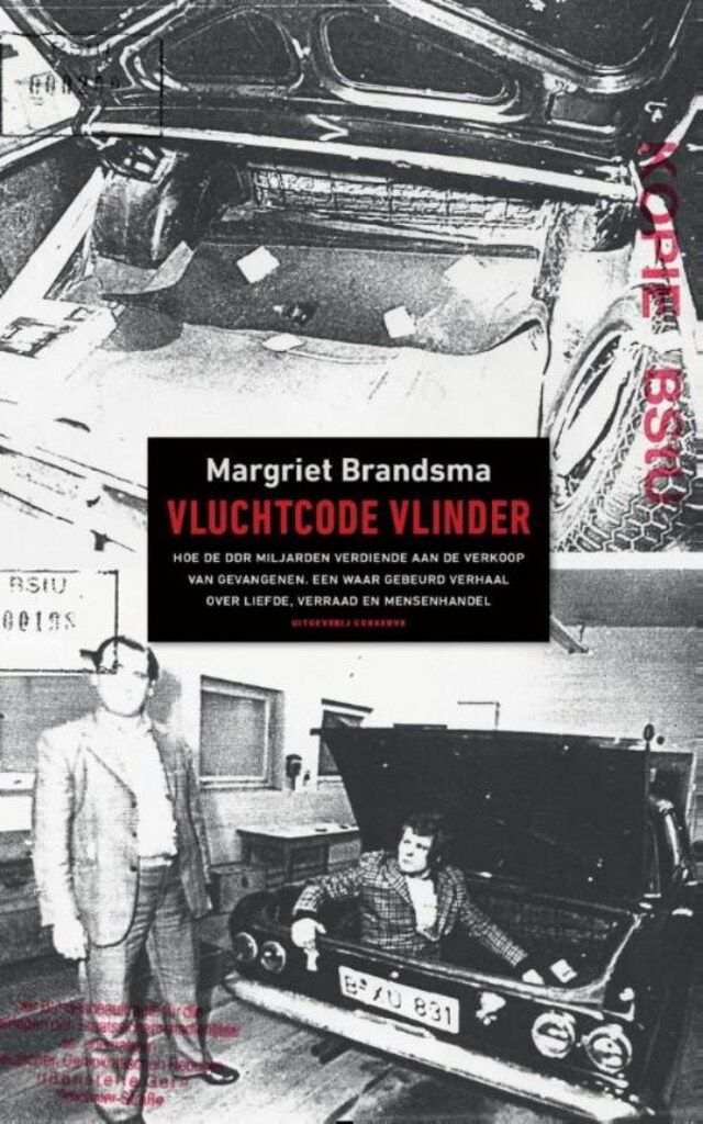 Portada de libro para Vuurcode vlinder