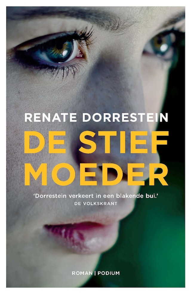 Book cover for De stiefmoeder