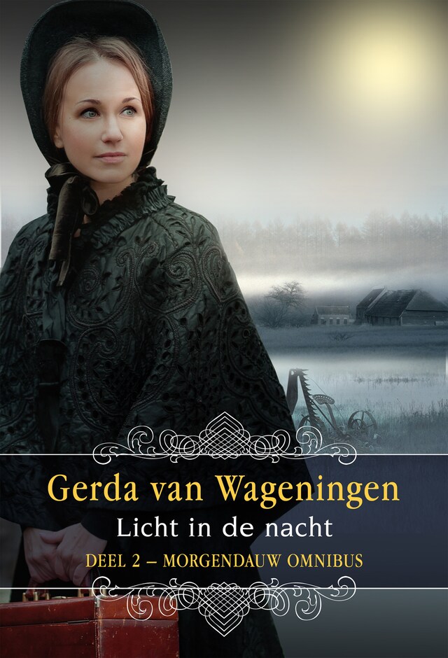 Book cover for Licht in de nacht