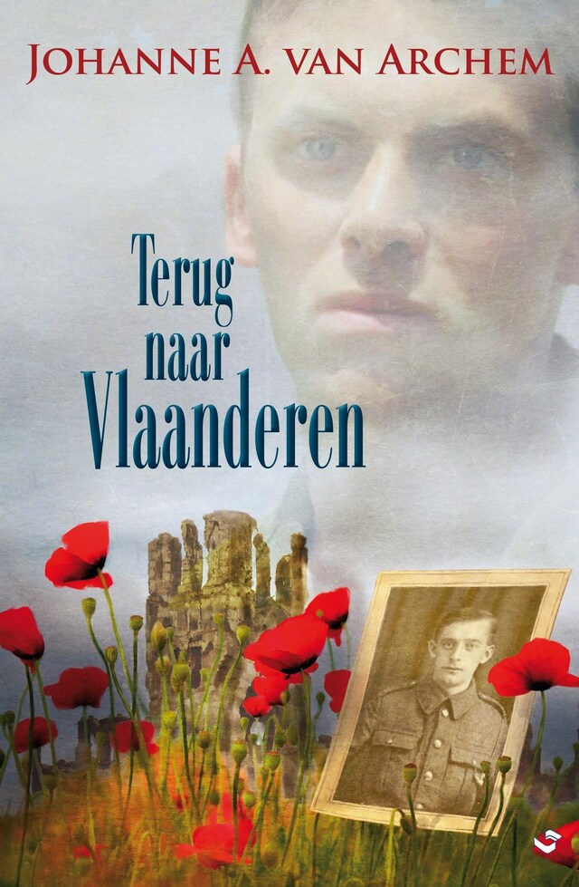 Book cover for Terug naar vlaanderen