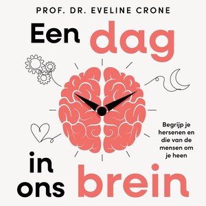 Een dag in ons brein - luisterboek