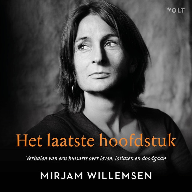 Book cover for Het laatste hoofdstuk