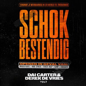 Schokbestendig - luisterboek
