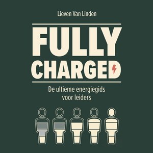 Fully Charged - luisterboek