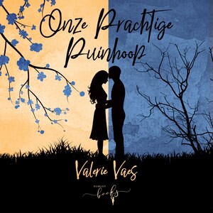 Onze prachtige puinhoop - luisterboek
