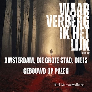 Amsterdam die grote stad die is gebouwd op palen - luisterboek