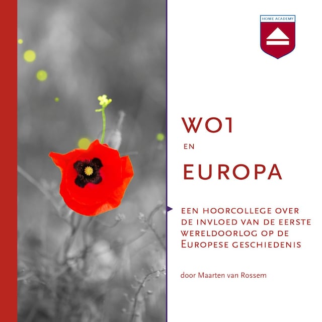 Boekomslag van WO1 en Europa