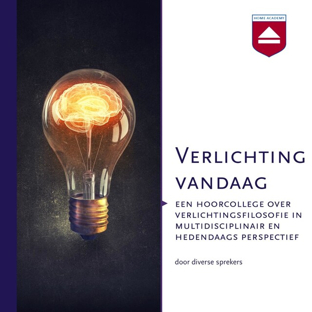 Book cover for Verlichting vandaag