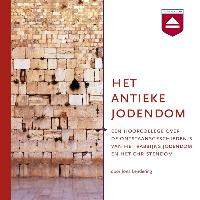 Okładka książki dla Het antieke jodendom