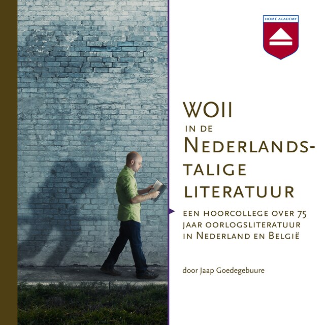 Boekomslag van WOII in de Nederlandstalige literatuur