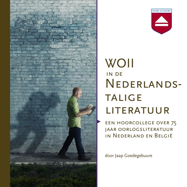 Book cover for WOII in de Nederlandstalige literatuur