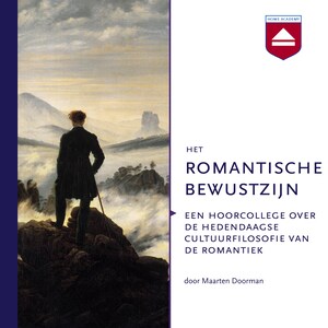 Het romantische bewustzijn - luisterboek