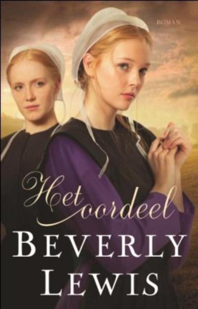 Book cover for Het oordeel