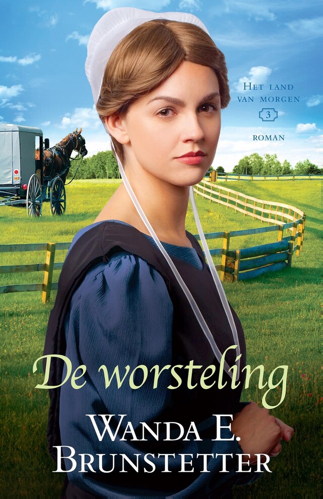 Copertina del libro per De worsteling