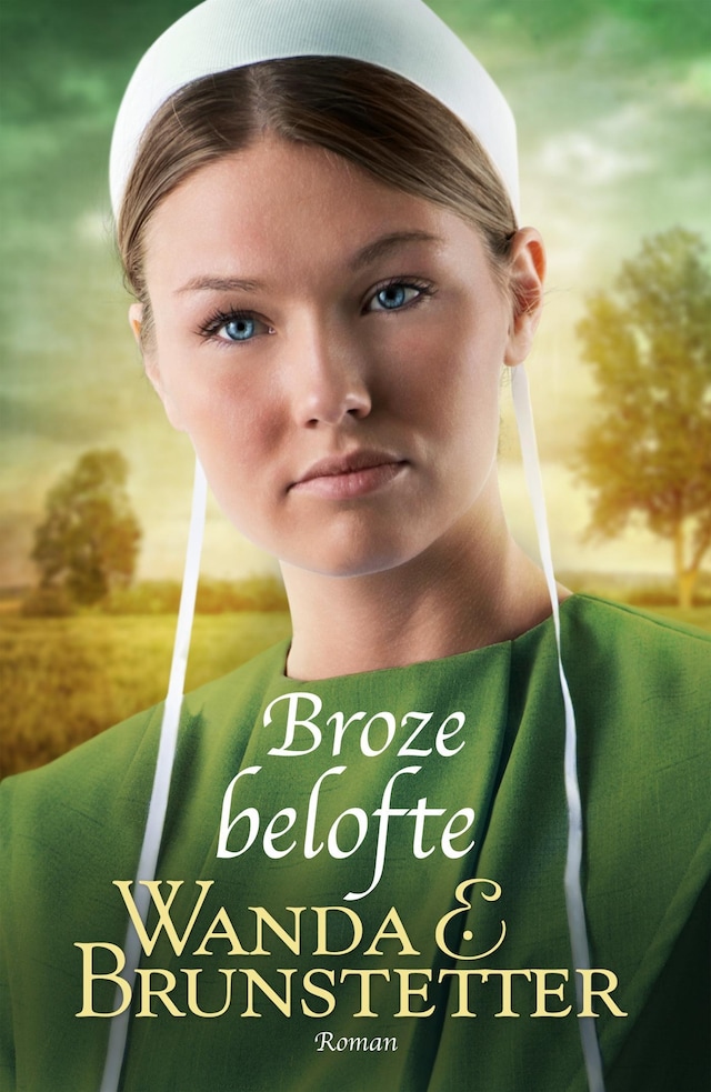Book cover for Broze belofte