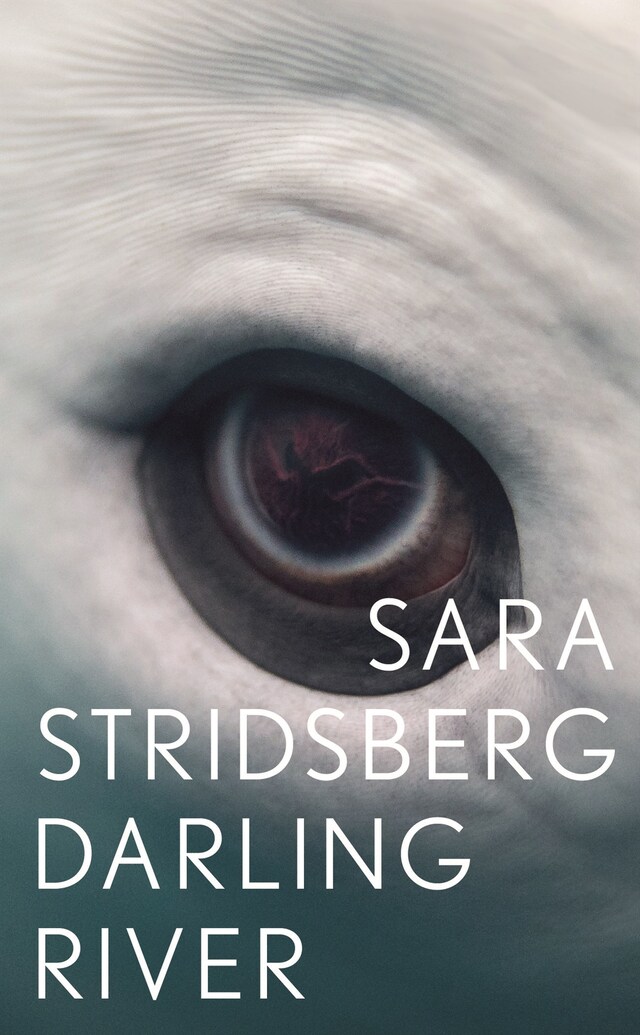 Book cover for Darling River