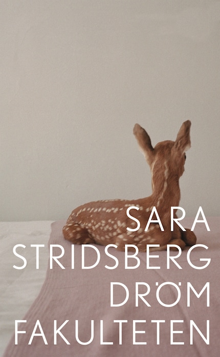 Drömfakulteten bookCoverFor