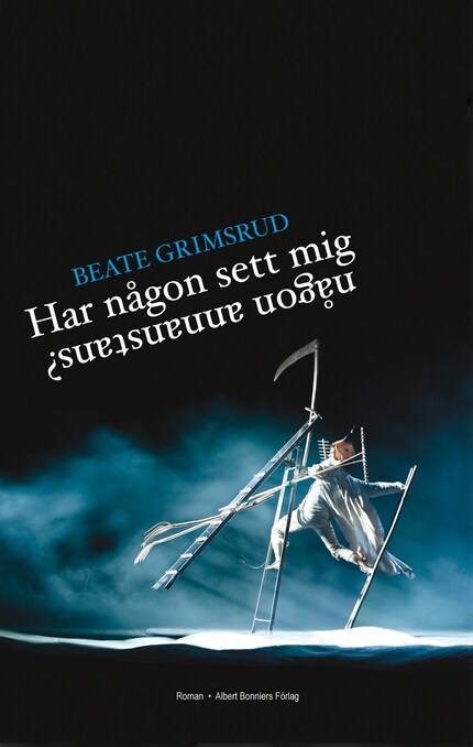 Har någon sett mig någon annanstans? bookCoverFor