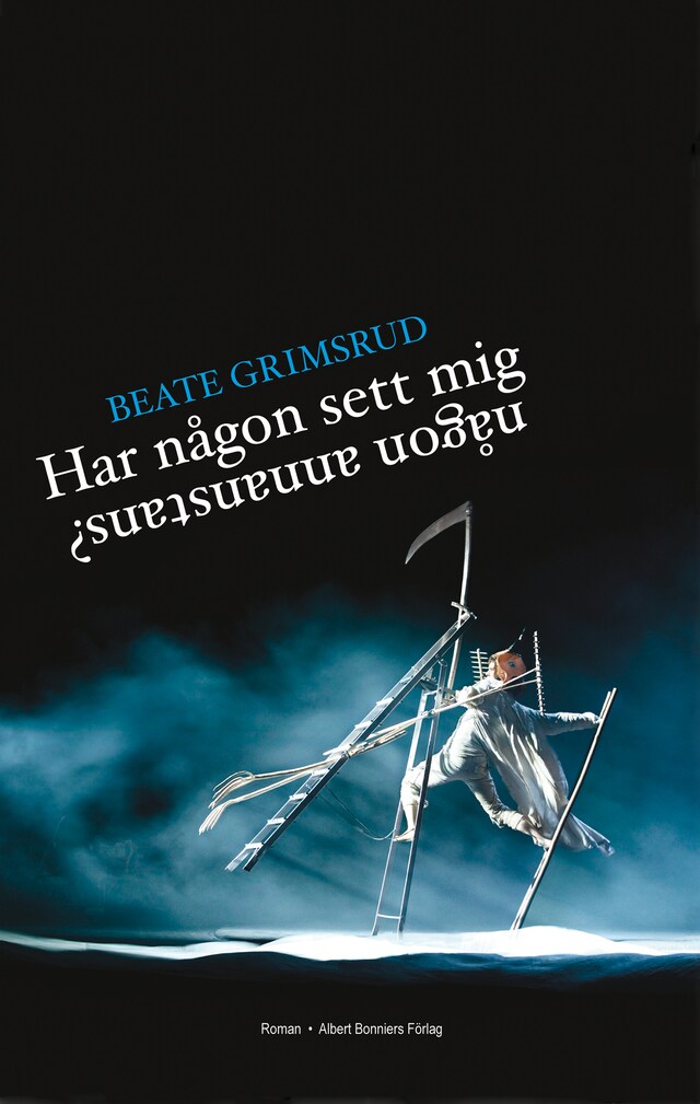 Portada de libro para Har någon sett mig någon annanstans?