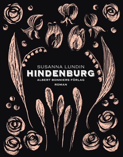 Hindenburg bookCoverFor