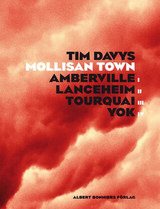 Mollisan Town bookCoverFor