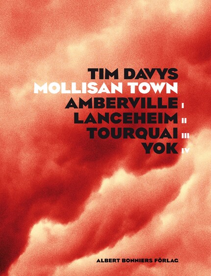 Mollisan Town bookCoverFor