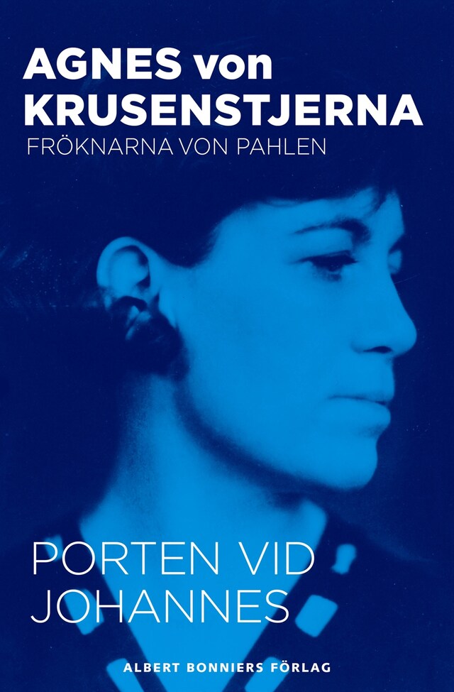 Book cover for Porten vid Johannes