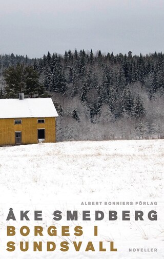 Borges i Sundsvall bookCoverFor
