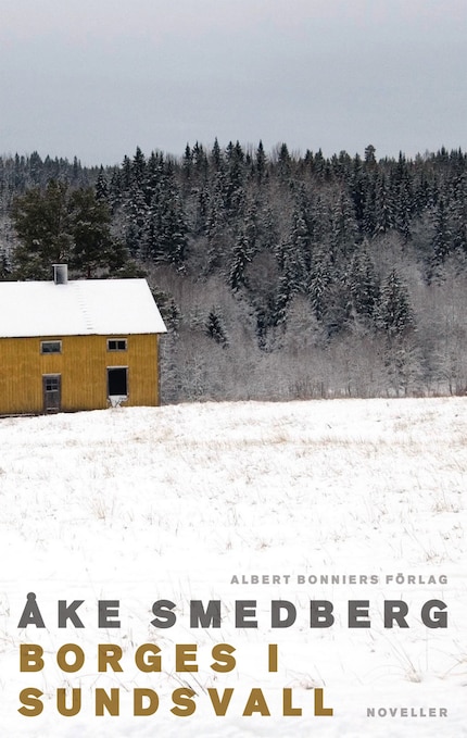 Borges i Sundsvall bookCoverFor