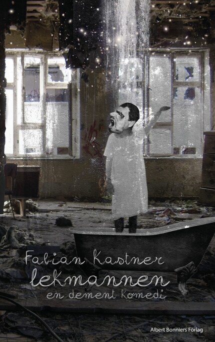 Lekmannen : en dement komedi bookCoverFor