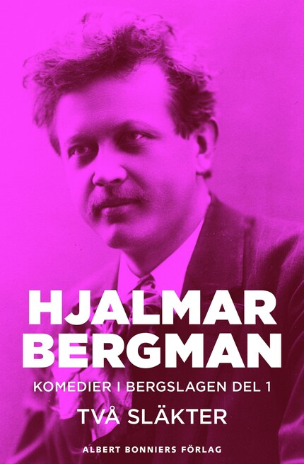Två släkter : komedier i Bergslagen I bookCoverFor