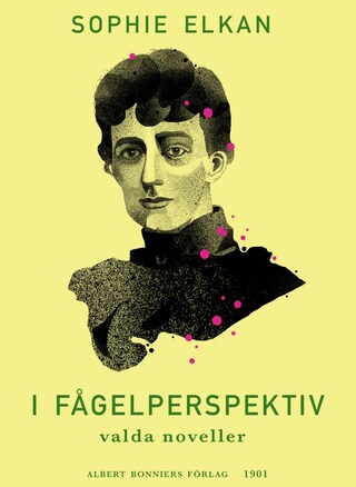 I fågelperspektiv : valda noveller ur äldre samlingar av Sophie Elkan (Rust Roest) bookCoverFor