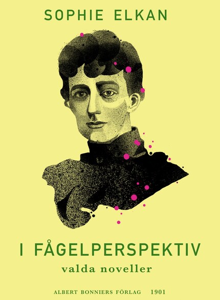 I fågelperspektiv : valda noveller ur äldre samlingar av Sophie Elkan (Rust Roest) bookCoverFor