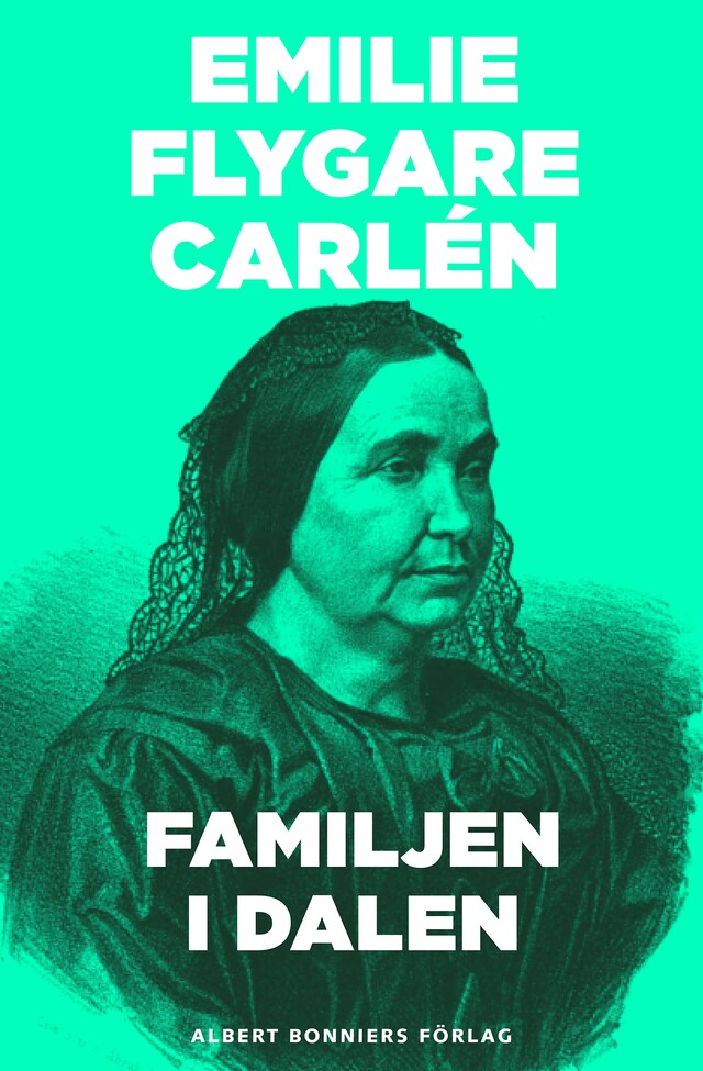 Book cover for Familjen i dalen