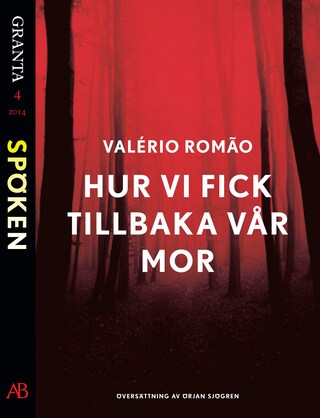 Hur vi fick tillbaka vår mor: en e-singel ur Granta #4 bookCoverFor