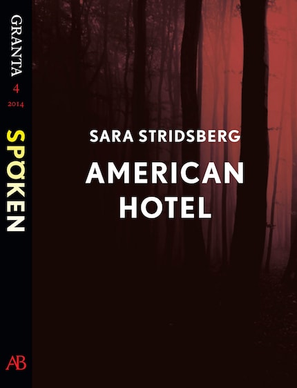 American Hotel : en e-singel ur Granta #4 bookCoverFor
