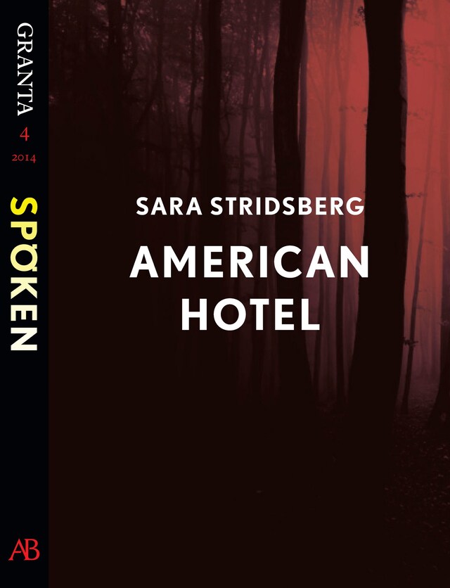 Book cover for American Hotel : en e-singel ur Granta #4