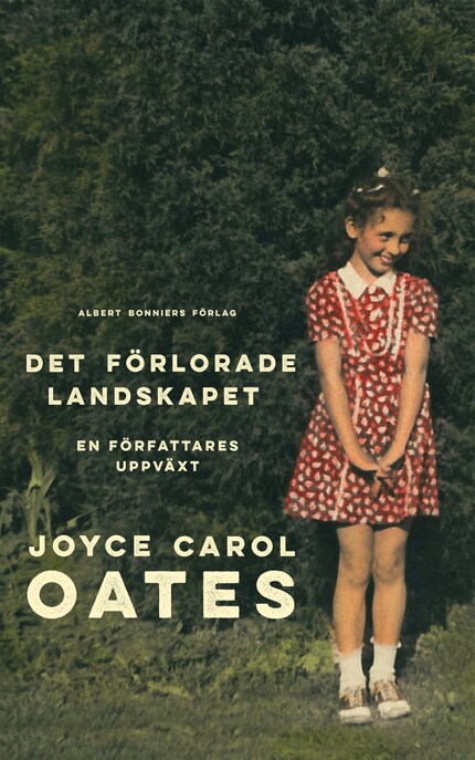 Det förlorade landskapet : en författares uppväxt bookCoverFor