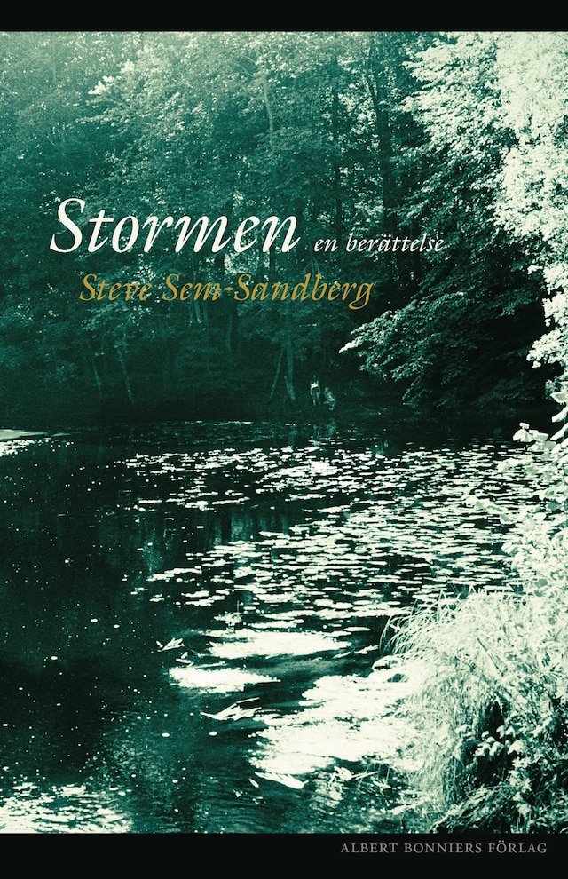 Book cover for Stormen : en berättelse