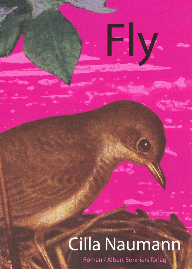 Buchcover für Fly