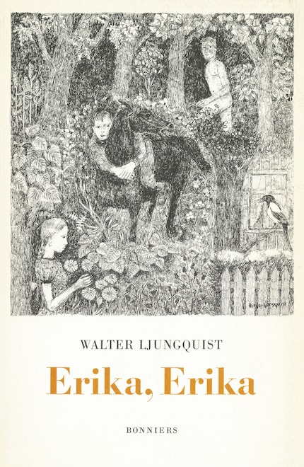 Erika, Erika : En ordvävnad bookCoverFor
